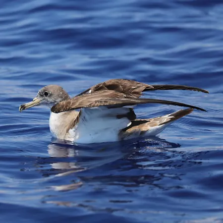 Sul Mare Di Antonietta منزل للإقامة سان ليون